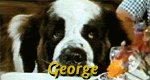 George George