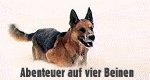 Abenteuer auf vier Beinen Abenteuer auf vier Beinen