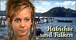 Habichte und Falken