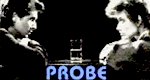 Probe