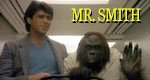 Mr. Smith