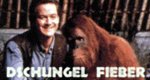 Dschungel Fieber Dschungel Fieber