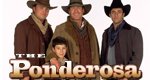 Ponderosa Ponderosa