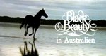 Black Beauty in Australien