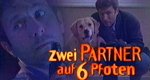 Zwei Partner auf sechs Pfoten