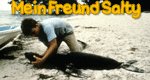 Salty, der Seelöwe – Bild: ZDF/Centerpoint Films B.V. Salty, der Seelöwe – Bild: ZDF/Centerpoint Films B.V.