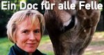 Ein Doc für alle Felle Ein Doc für alle Felle