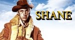 Shane Shane
