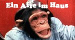 Ein Affe im Haus Ein Affe im Haus