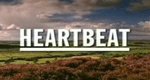 Heartbeat Heartbeat