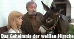 Das Geheimnis der weißen Hirsche Das Geheimnis der weißen Hirsche