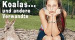 Koalas und andere Verwandte