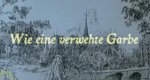 Wie eine verwehte Garbe Wie eine verwehte Garbe