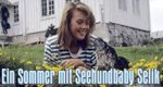 Ein Sommer mit Seehundbaby Selik Ein Sommer mit Seehundbaby Selik